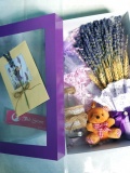 Hộp quà lavender cao cấp kèm gấu lọ và thiệp 0